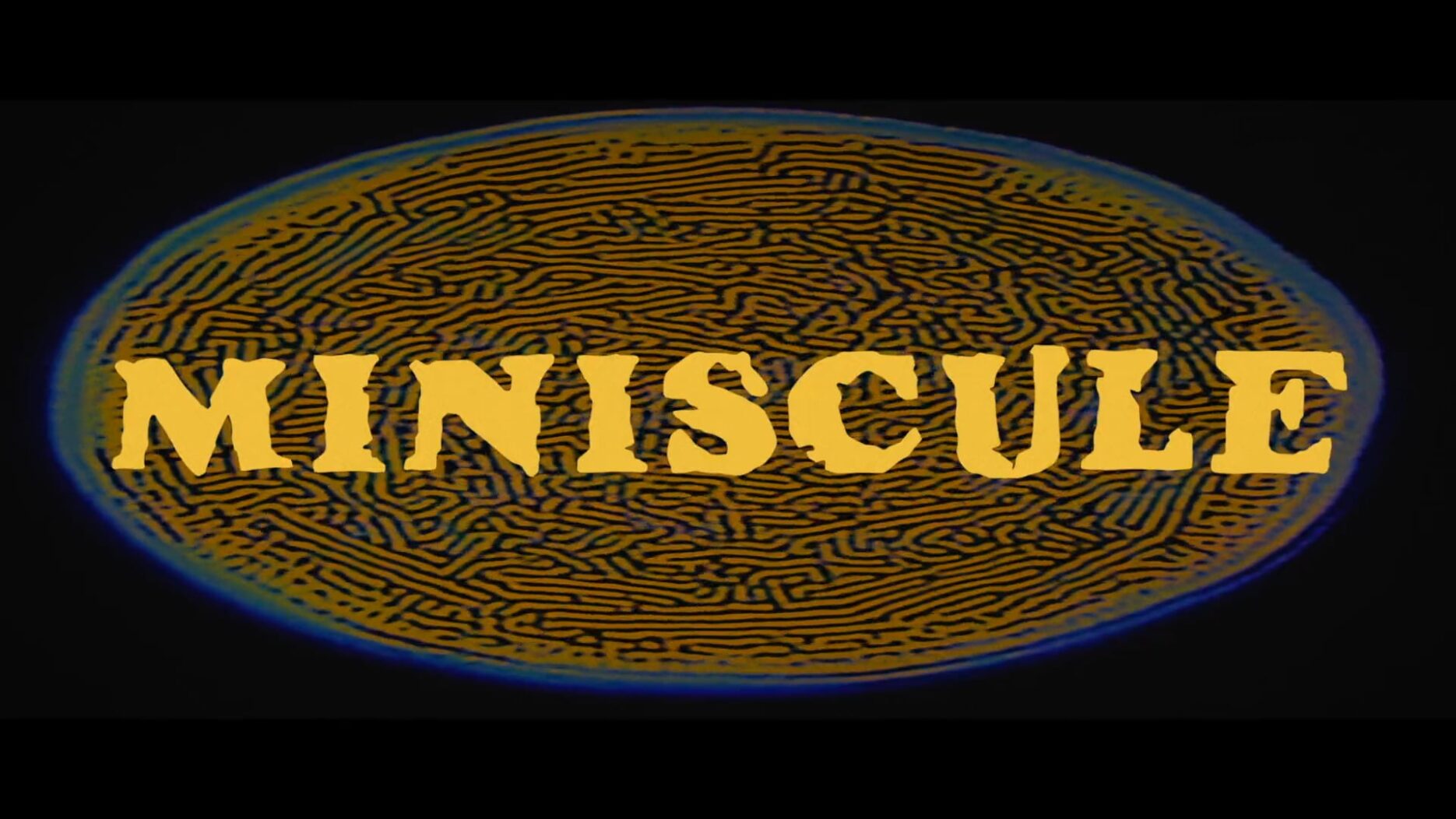 Lealani – Miniscule (Official Video)